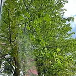 City Centre 3