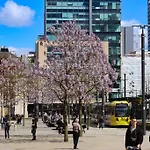 Premium Mcr City Centre Apartment
