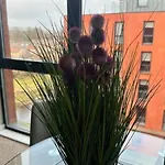 Large 1 Bed Apt In Central Manchester Sleeps 2