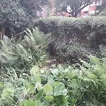 Bird Song Guest House Old Trafford