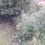 Bird Song Guest House Old Trafford
