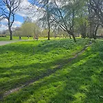 Alexandra Park