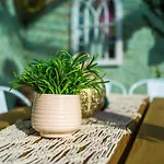 R&R At A Character Victorian Home