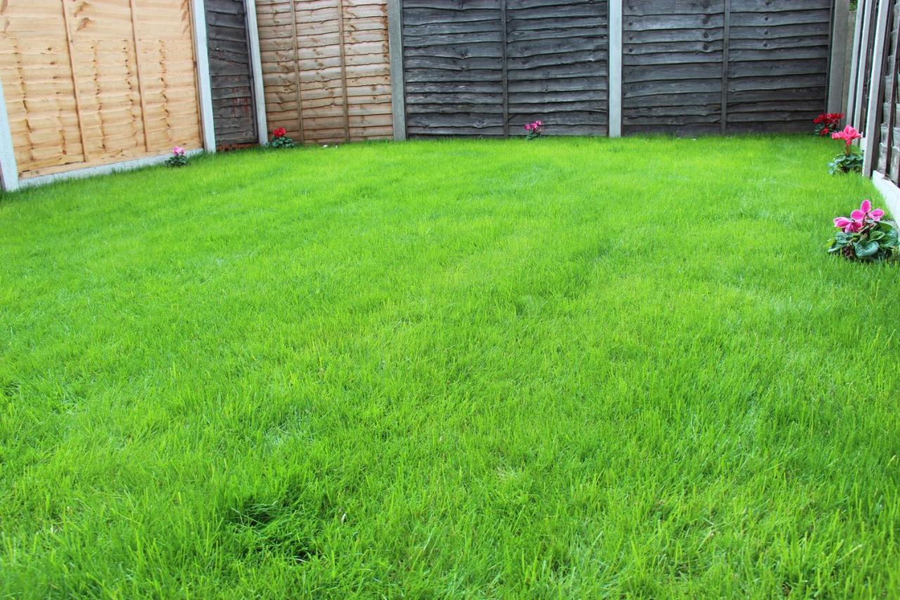 Mosh Homes * Manchester