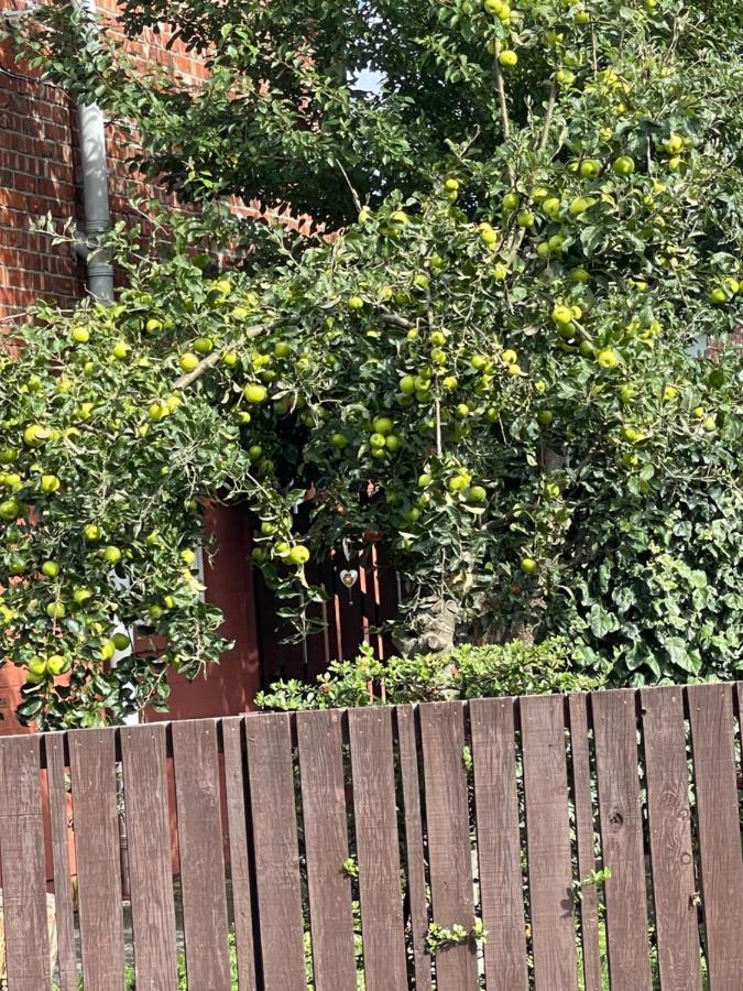 Private Studio Flat Great Location In