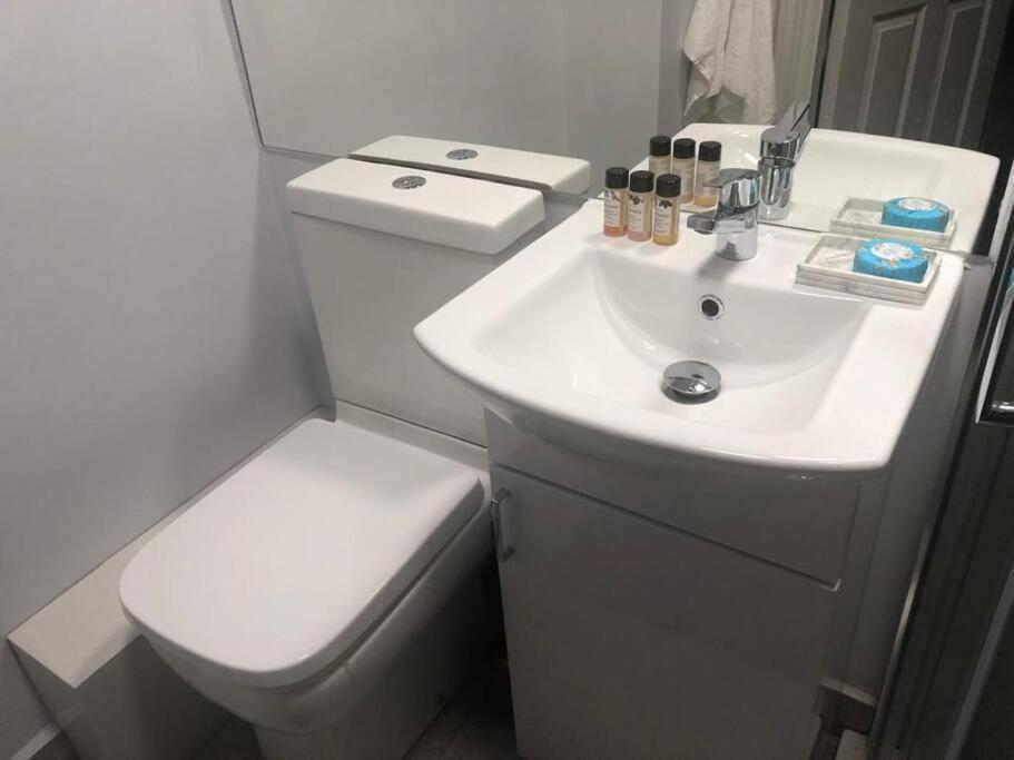 Appartement 3 Bath Contemporary Victorian Near Attractions
