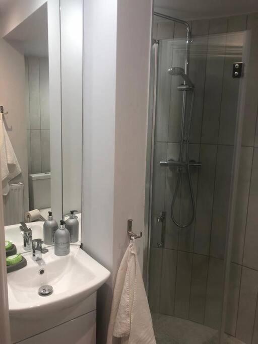 Appartement 3 Bath Contemporary Victorian Near Attractions Manchester