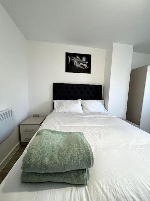 Luxurious View In Salford Apartment Manchester