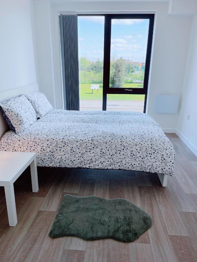Modern House Guest house