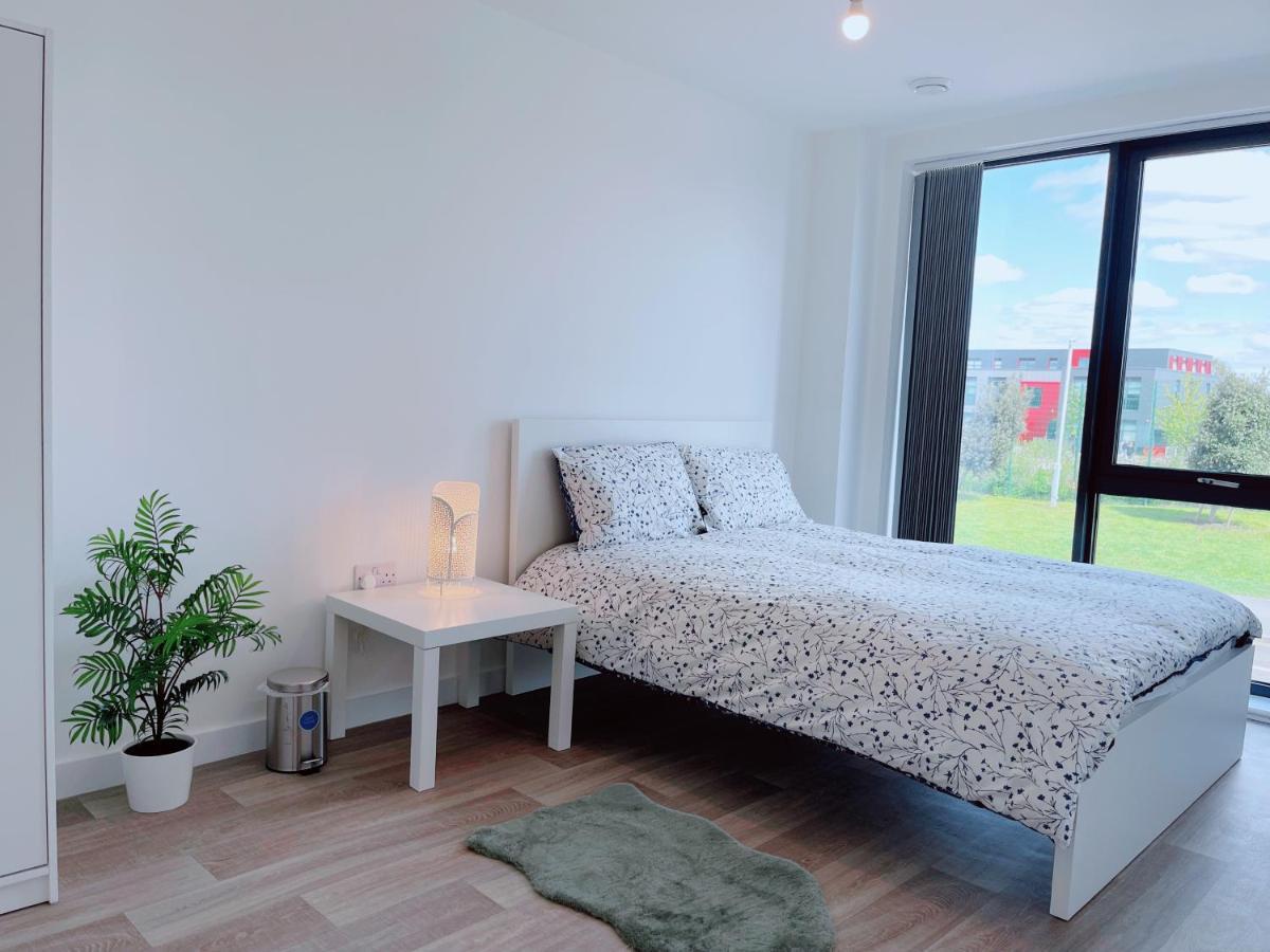 Modern House Guest house *