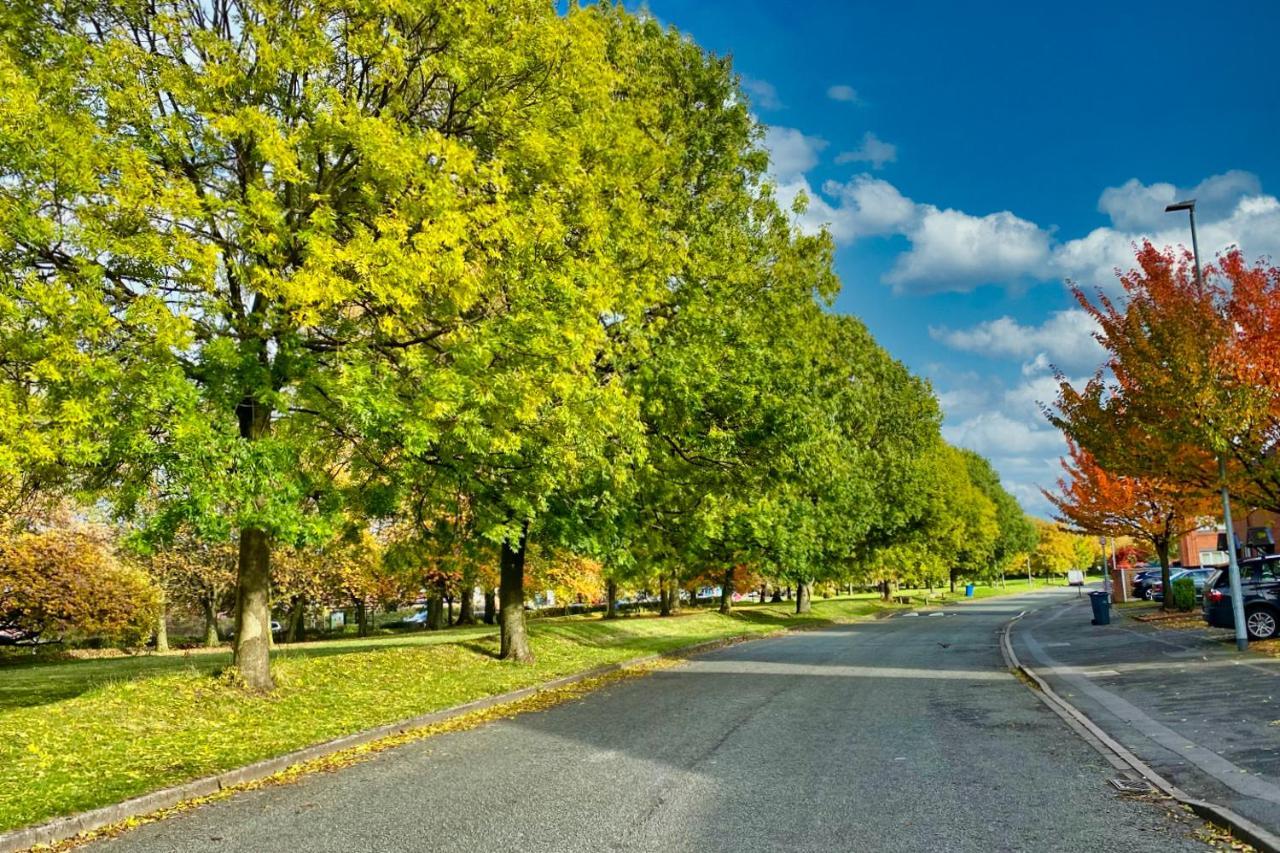 Modern Home, Beautiful Spacious Garden, Centre Netflix