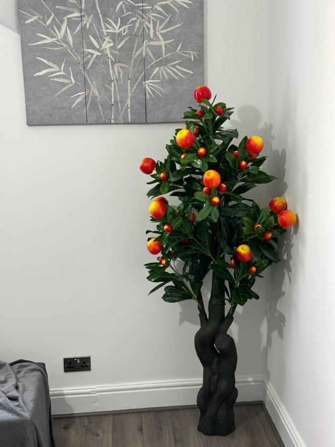 Lovely 2 Bedroom In Close To Centre And Stadium #1 *