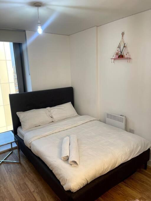 Cozie 1 Bedroom Apartment