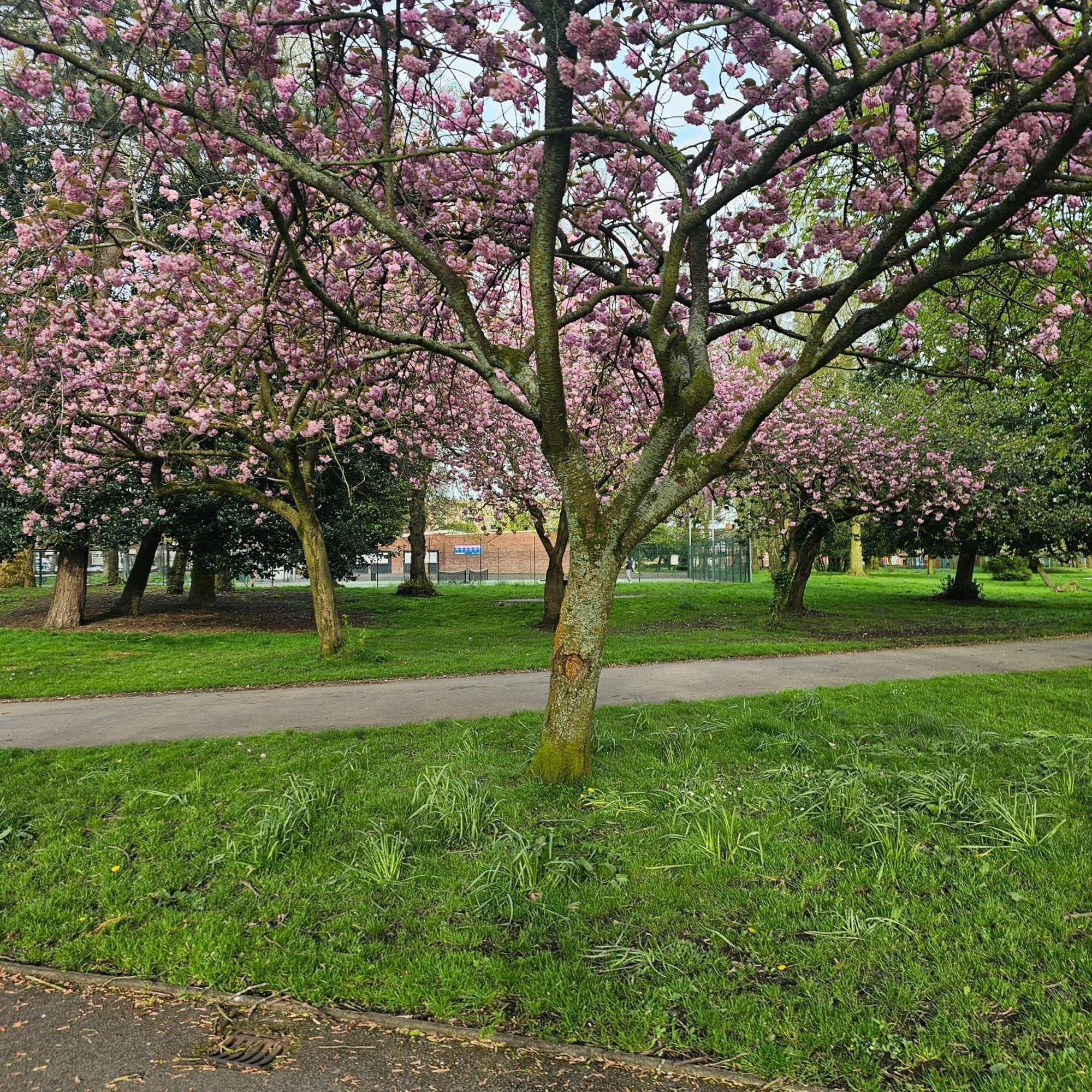 Alexandra Park Apartment Manchester