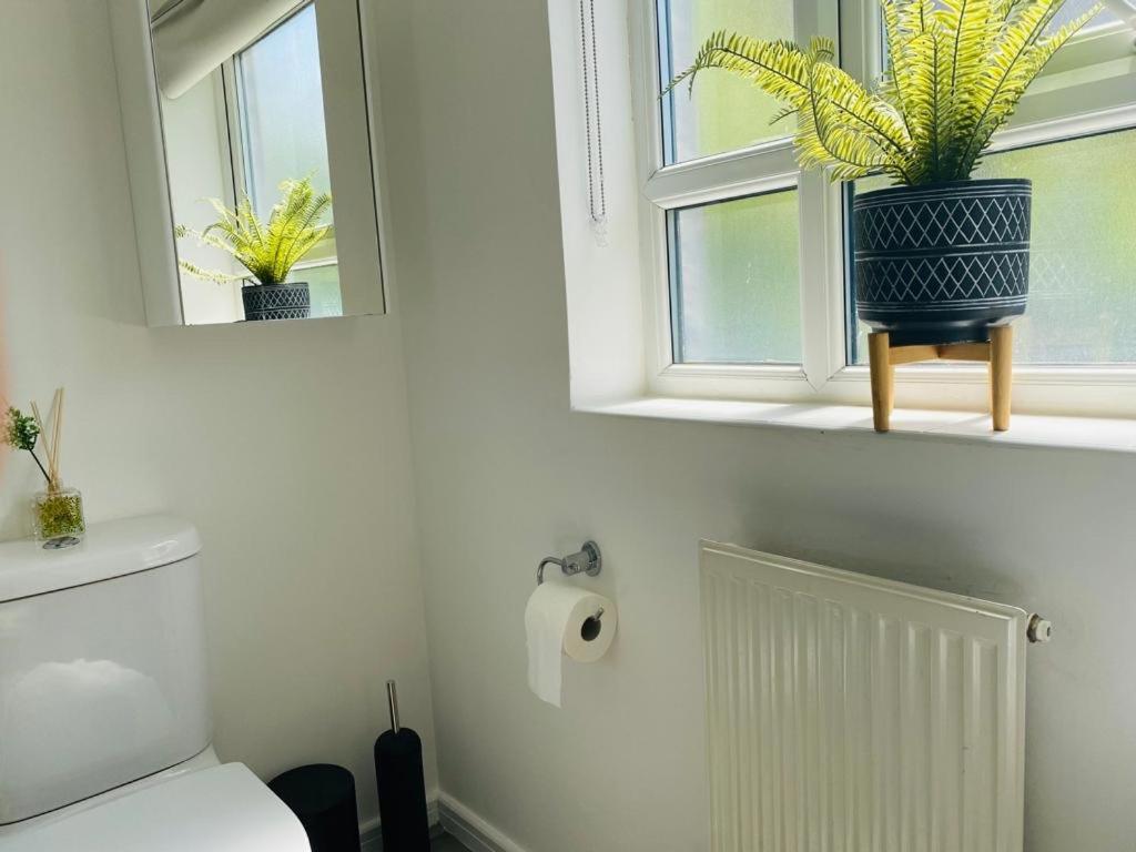 Modern, Stylish And Central Accommodatie bij particulieren