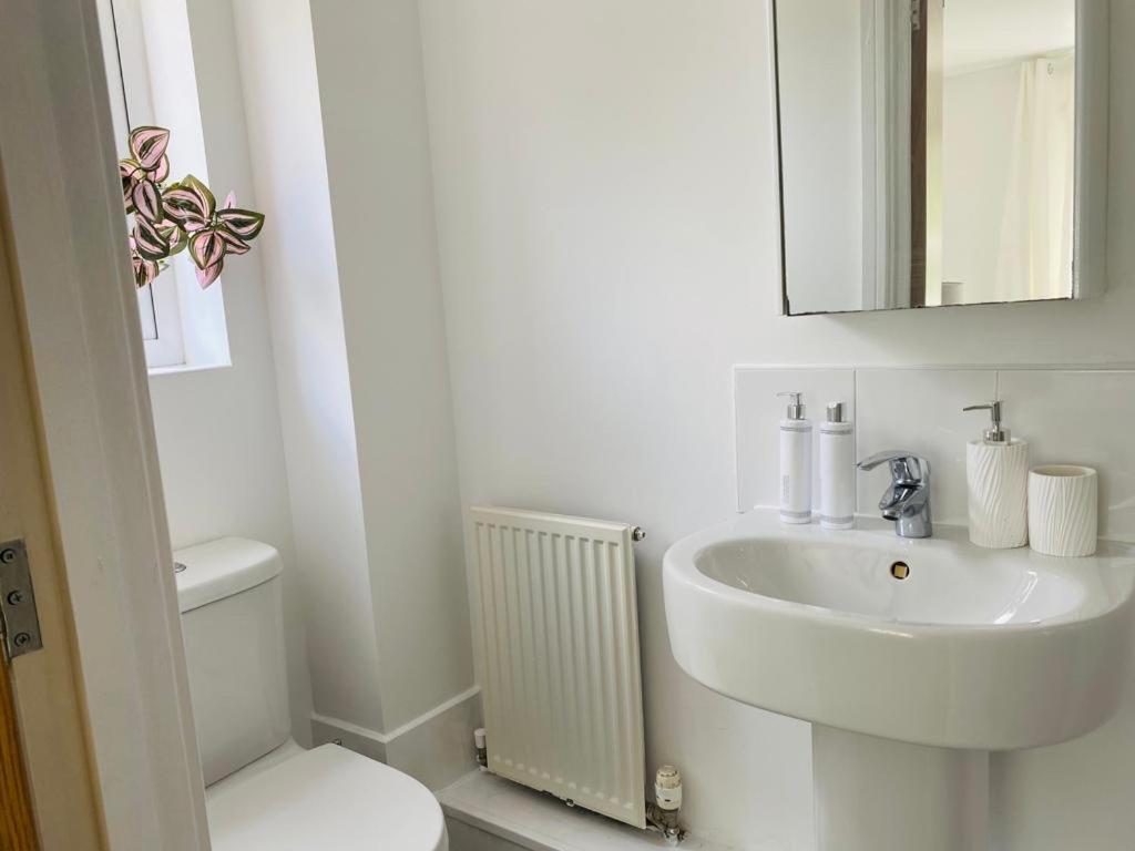 Modern, Stylish And Central Accommodatie bij particulieren *
