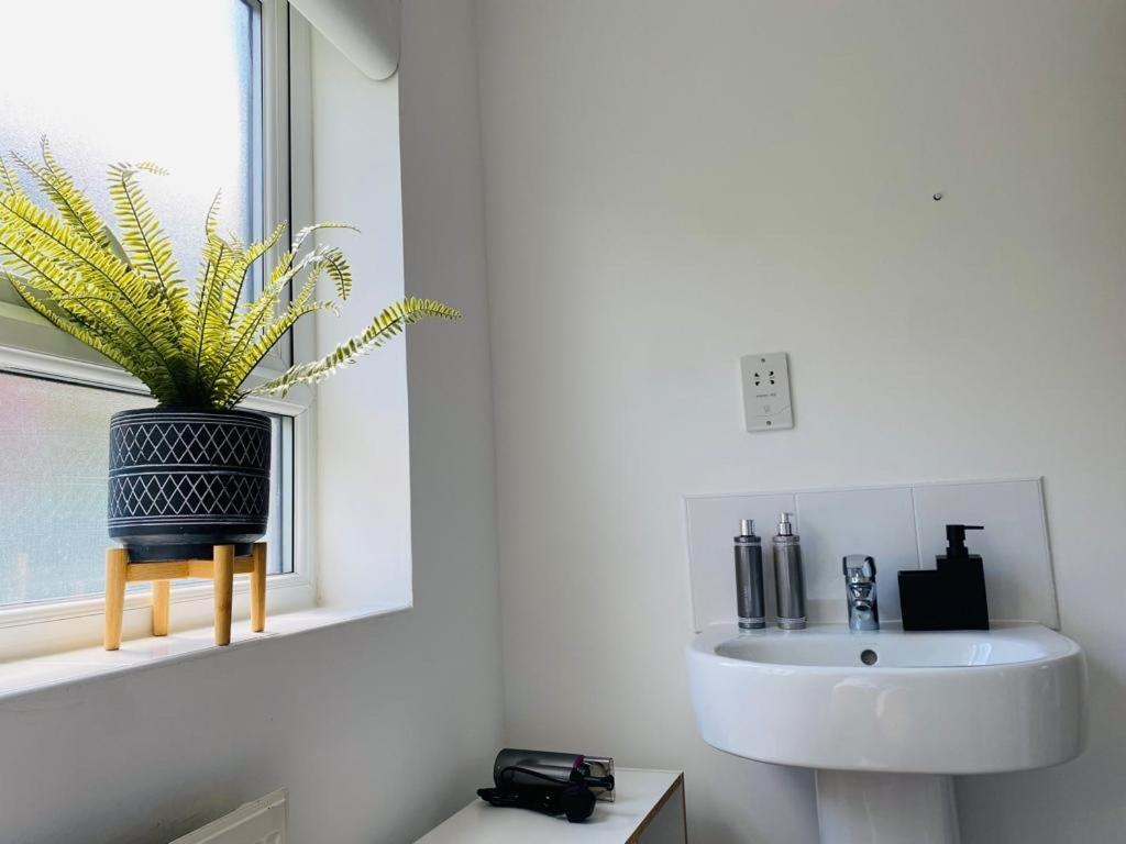 Accommodatie bij particulieren Modern, Stylish And Central