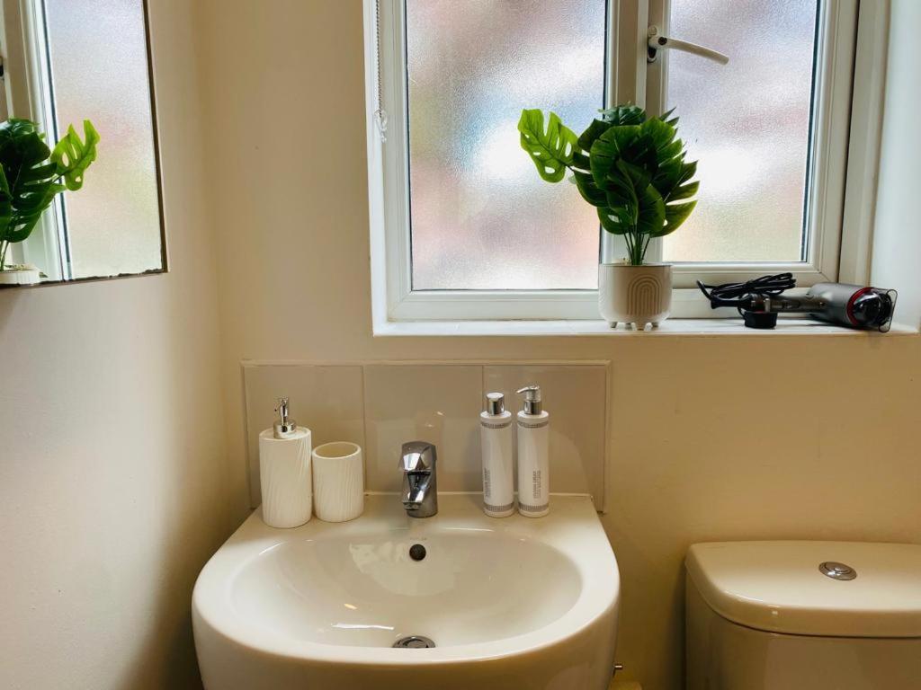 Modern, Stylish And Central *
