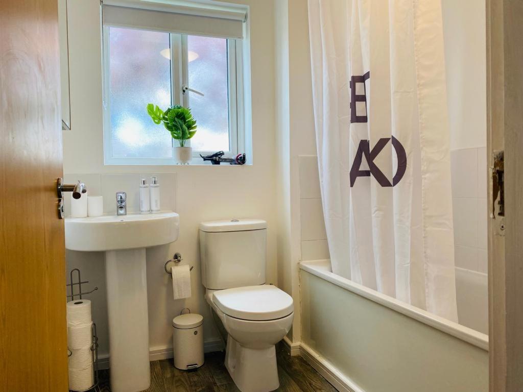 Accommodatie bij particulieren Modern, Stylish And Central