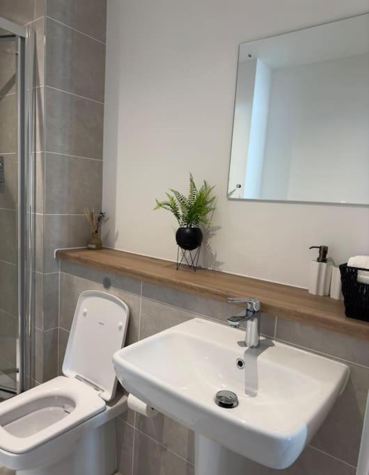 Your Private Oasis In