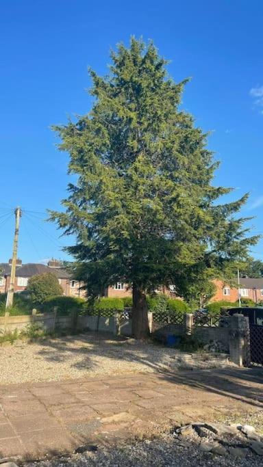 Cheerful 3 Bed Entire House, Newly Refurbished *