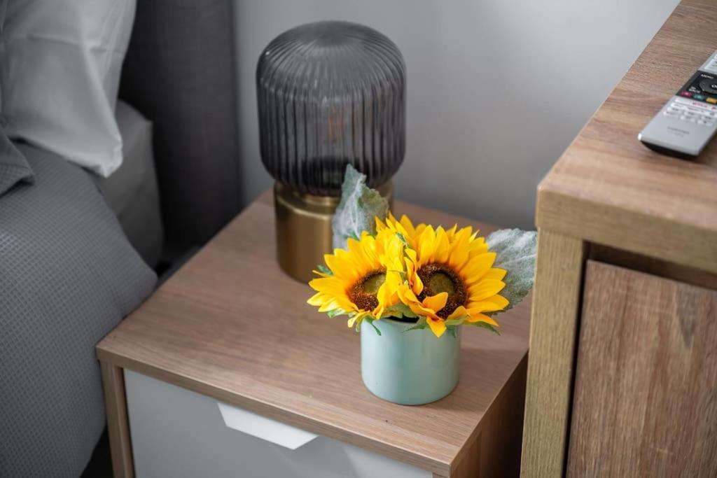 Modern Chique Apartment Manchester
