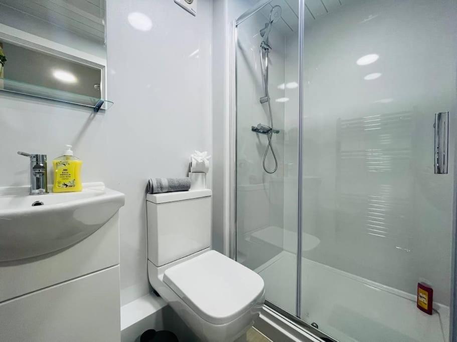 Apartment Sophisticated Escape, Walk To Stadium Museum Manchester