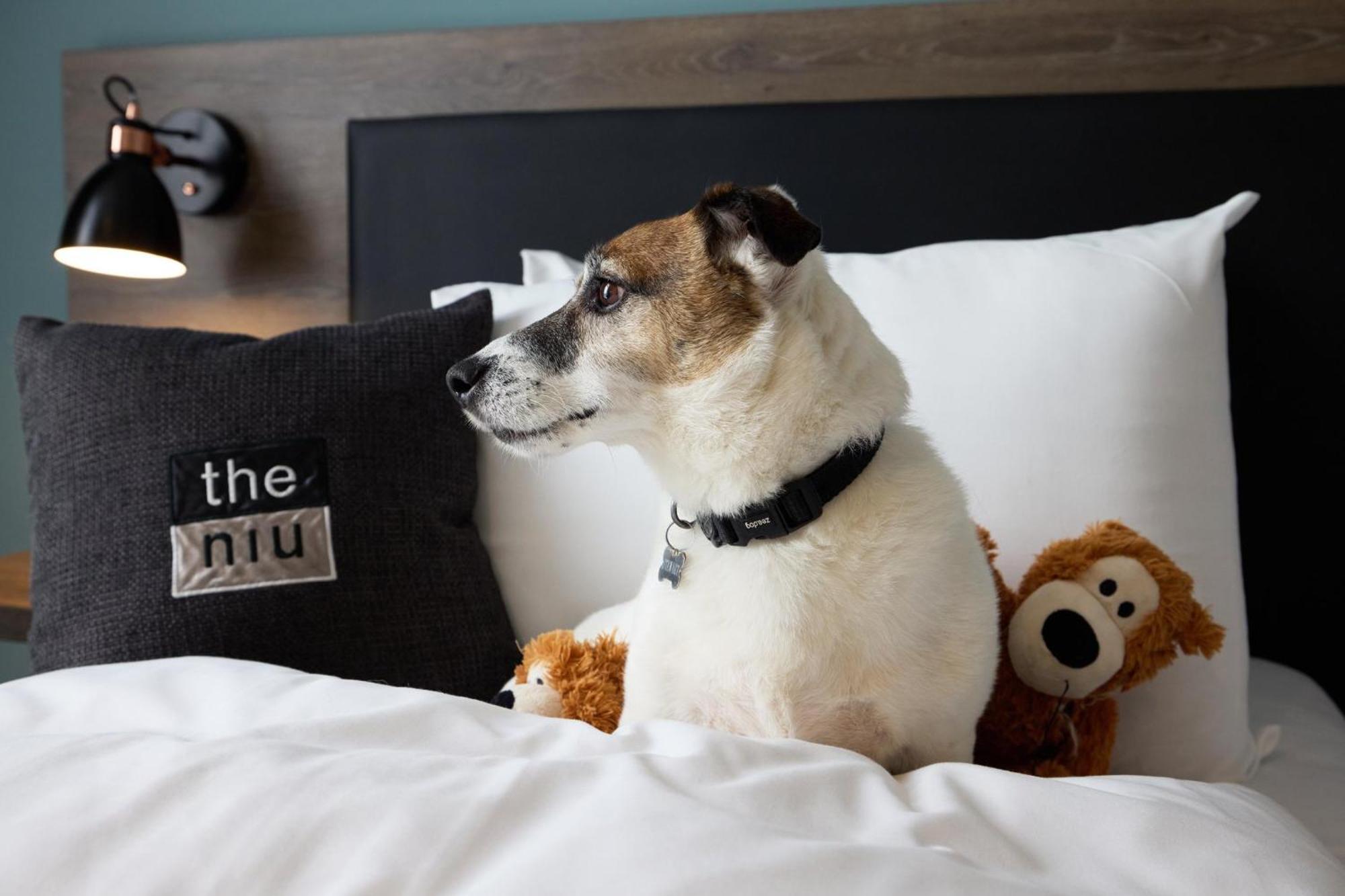- The Niu, Loom North By Ihg Hotel