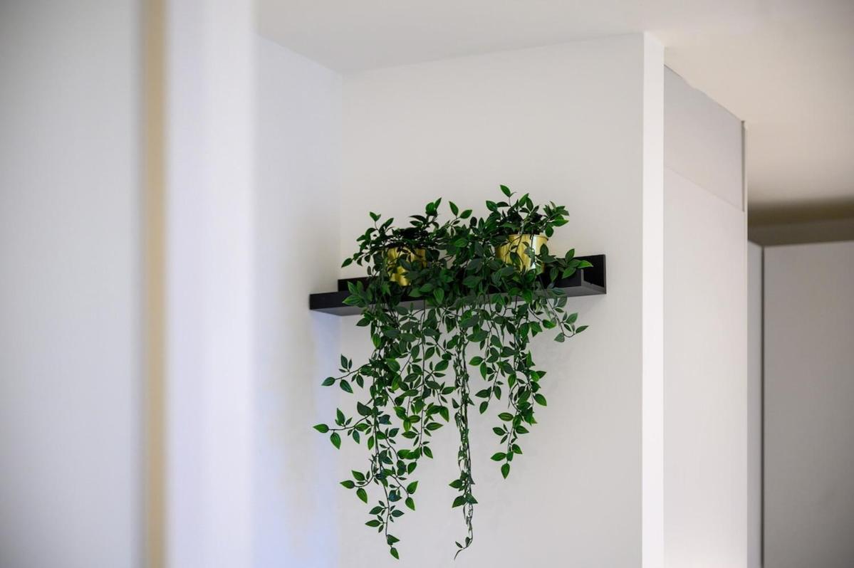 Apartment Modern Luxurious
