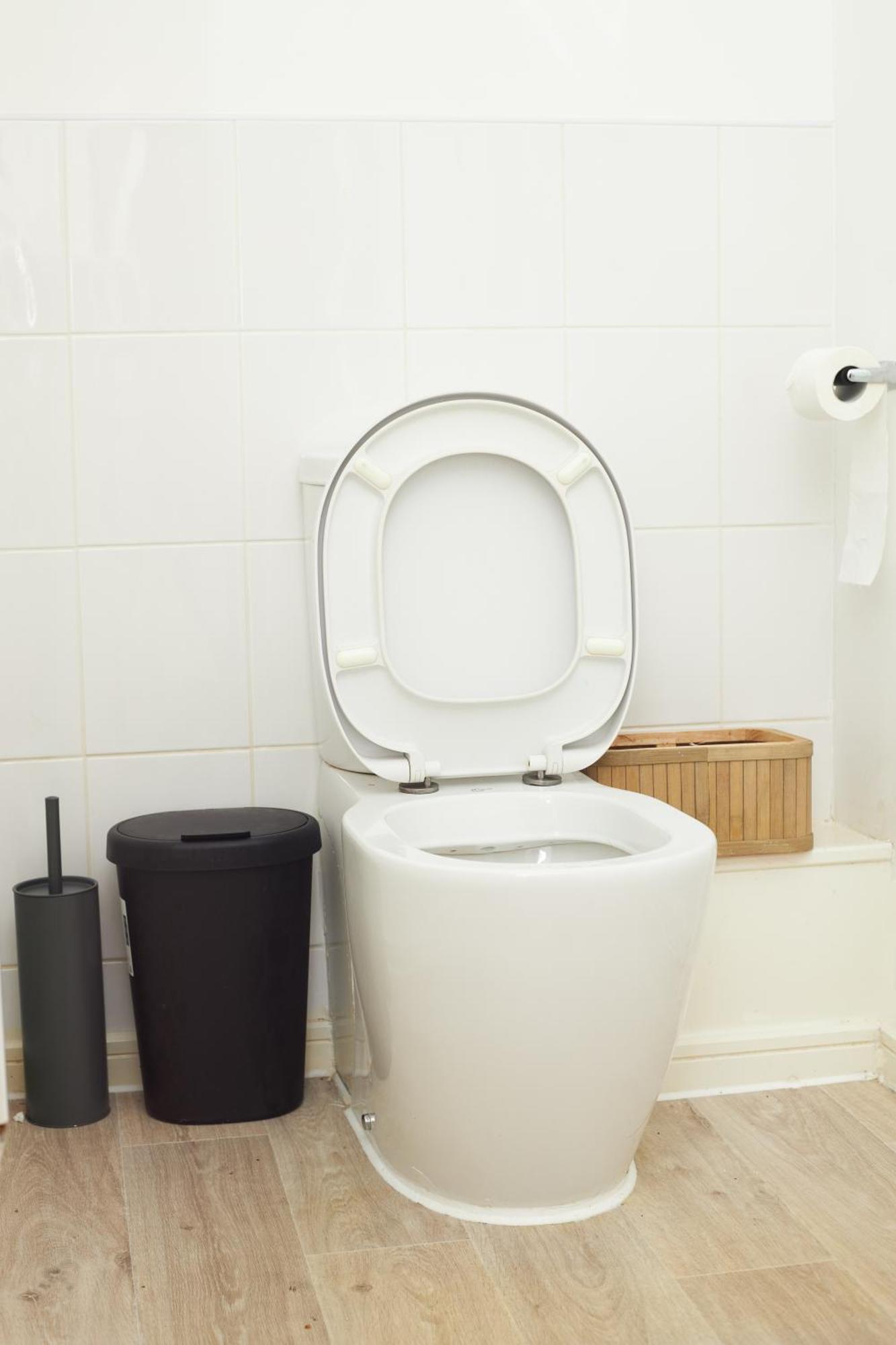 Luxury Ensuite With Shared Living And Kitchen Guest house *