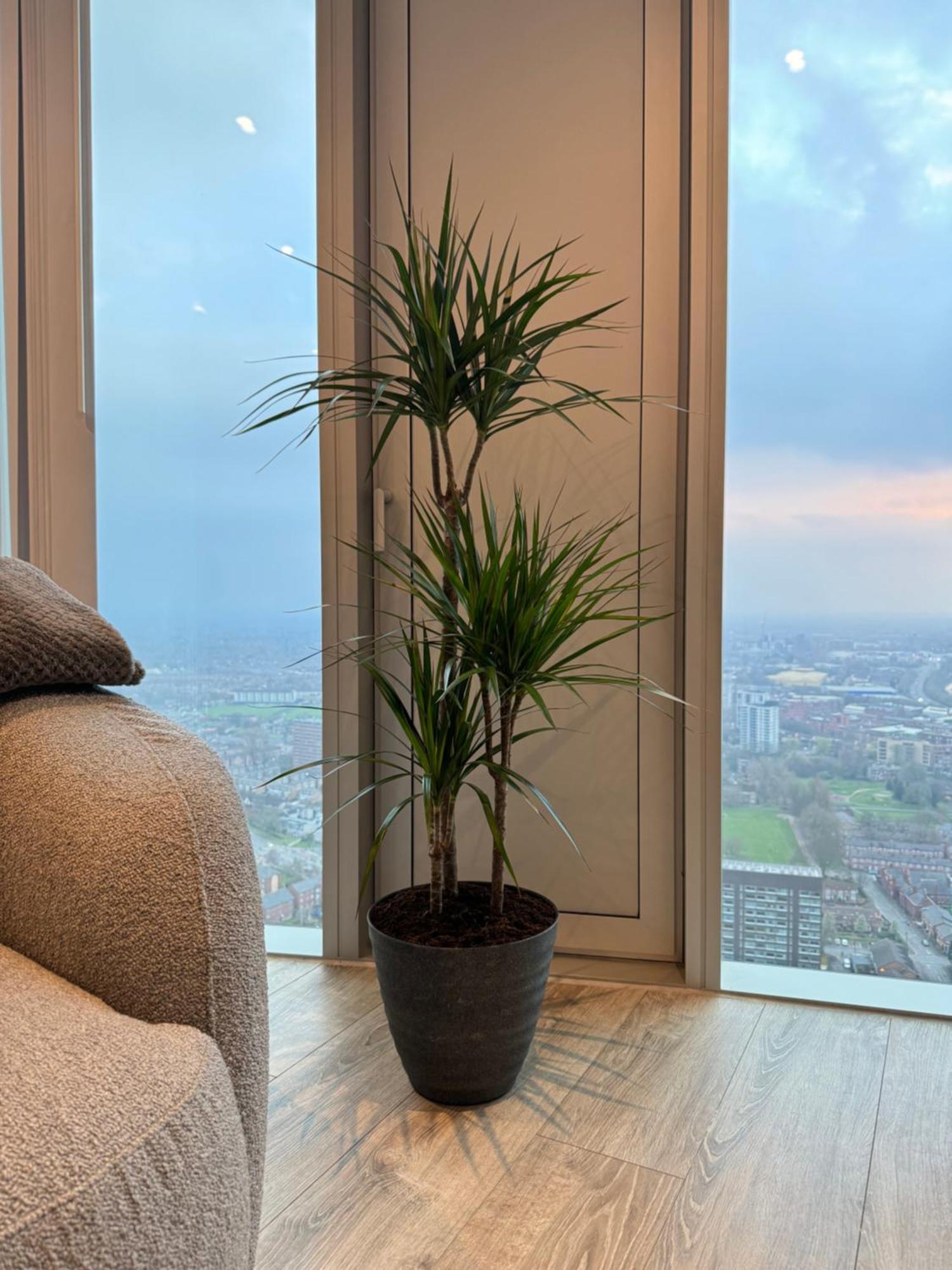 3 Bedroom Penthouse In The Centre Deansgate New Build High Floor