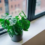 Sky Gardens - Contemporary Duplex Apartment