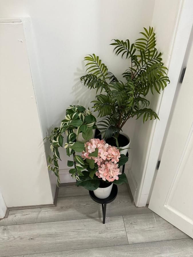 Lovely 2 Bedroom In Close To Centre And Stadium #1 *