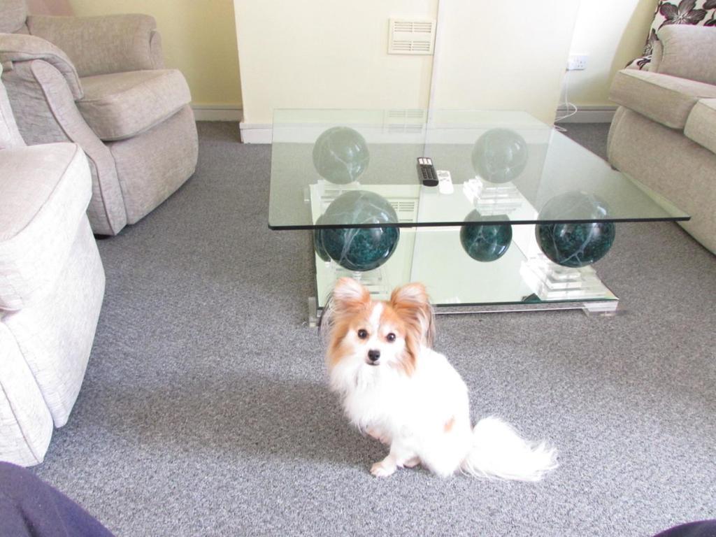 Perfect House For Professionals Manchester