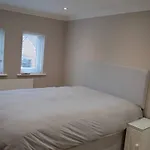 Newly Renovated Modern Family Home